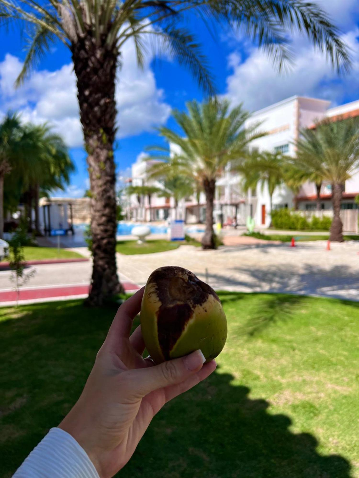 Tanama Hotel Punta Cana Kültér fotó